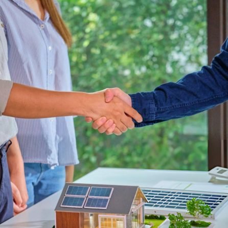 domestic energy program proximus